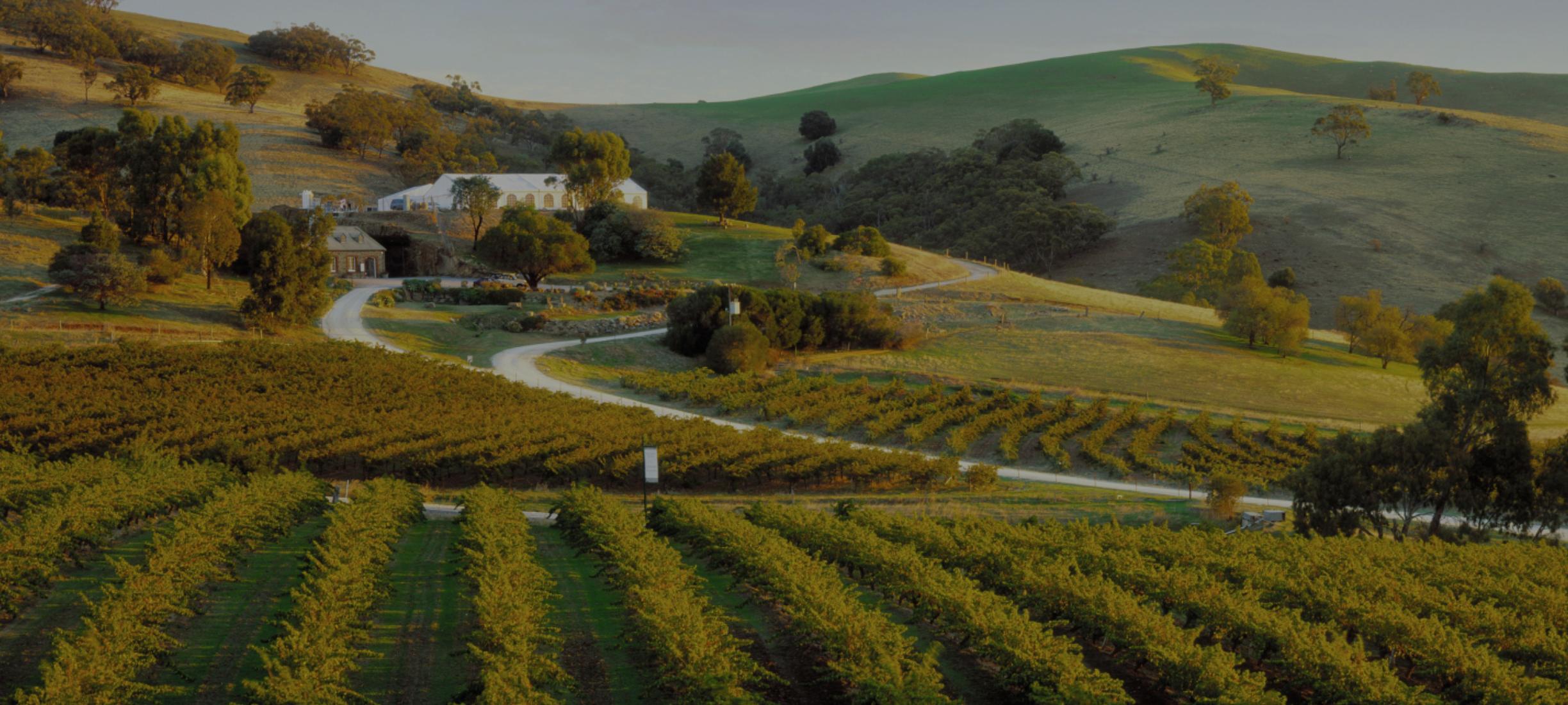 Luxury Escapes Guide to the Barossa