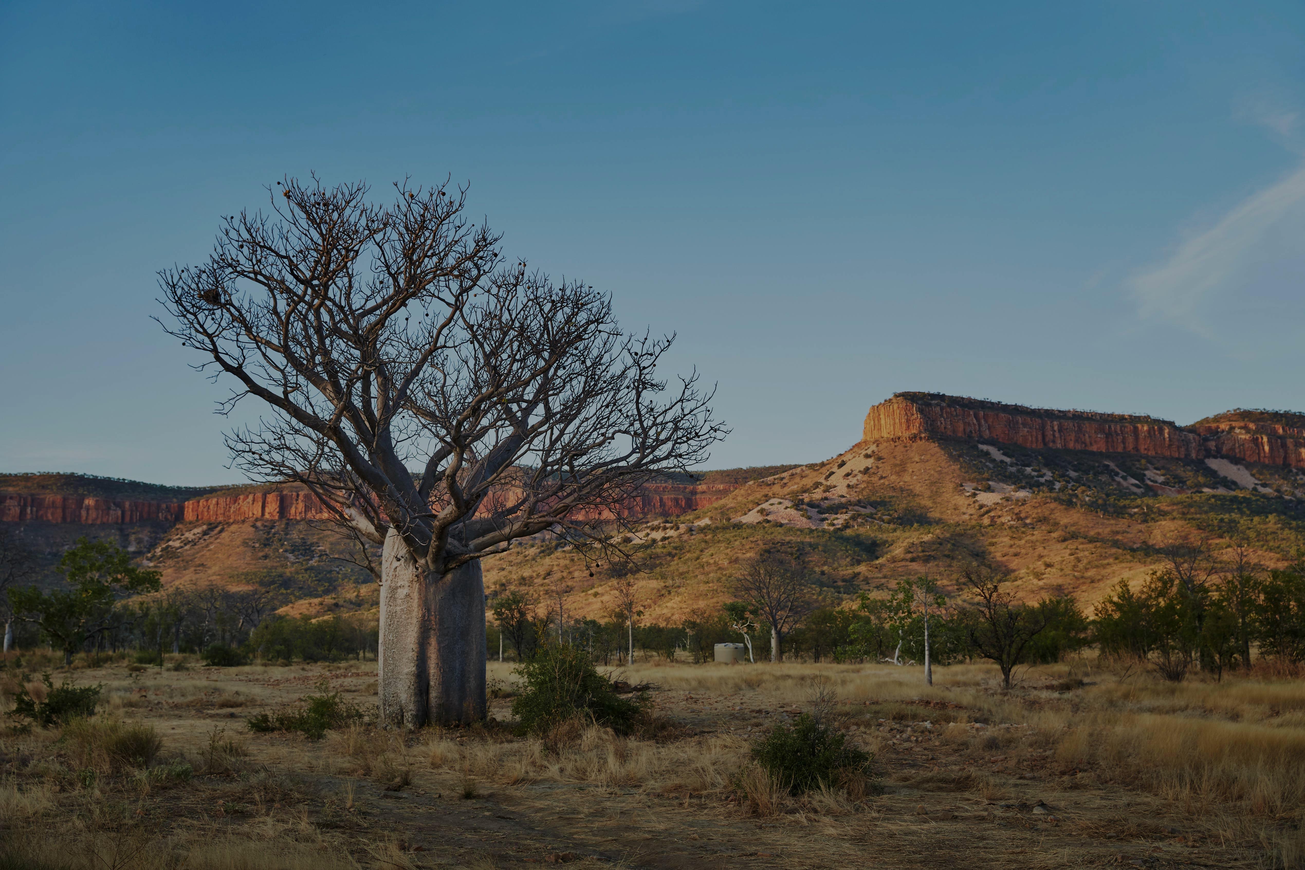 Highlights of a Broome to Kununurra Gibb River Road Trip