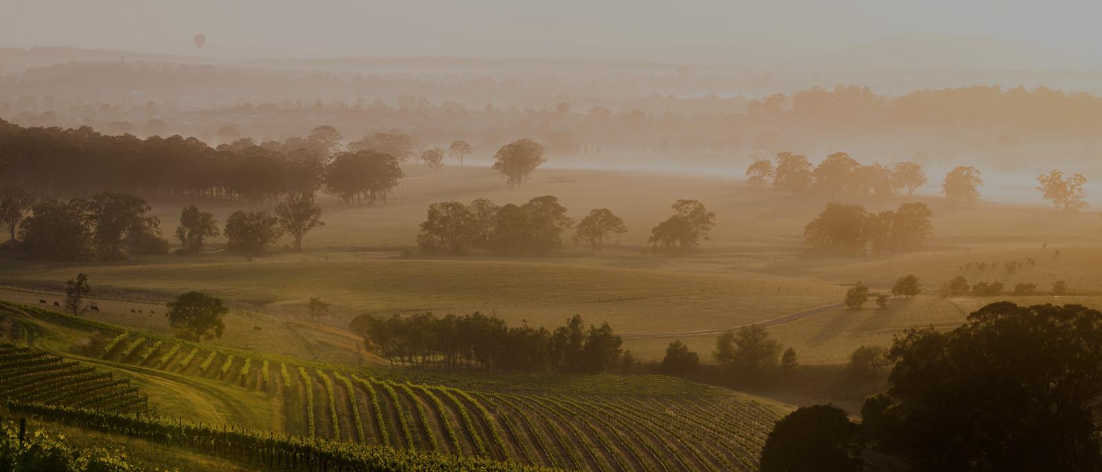 Luxury Escapes Guide to the Hunter Valley