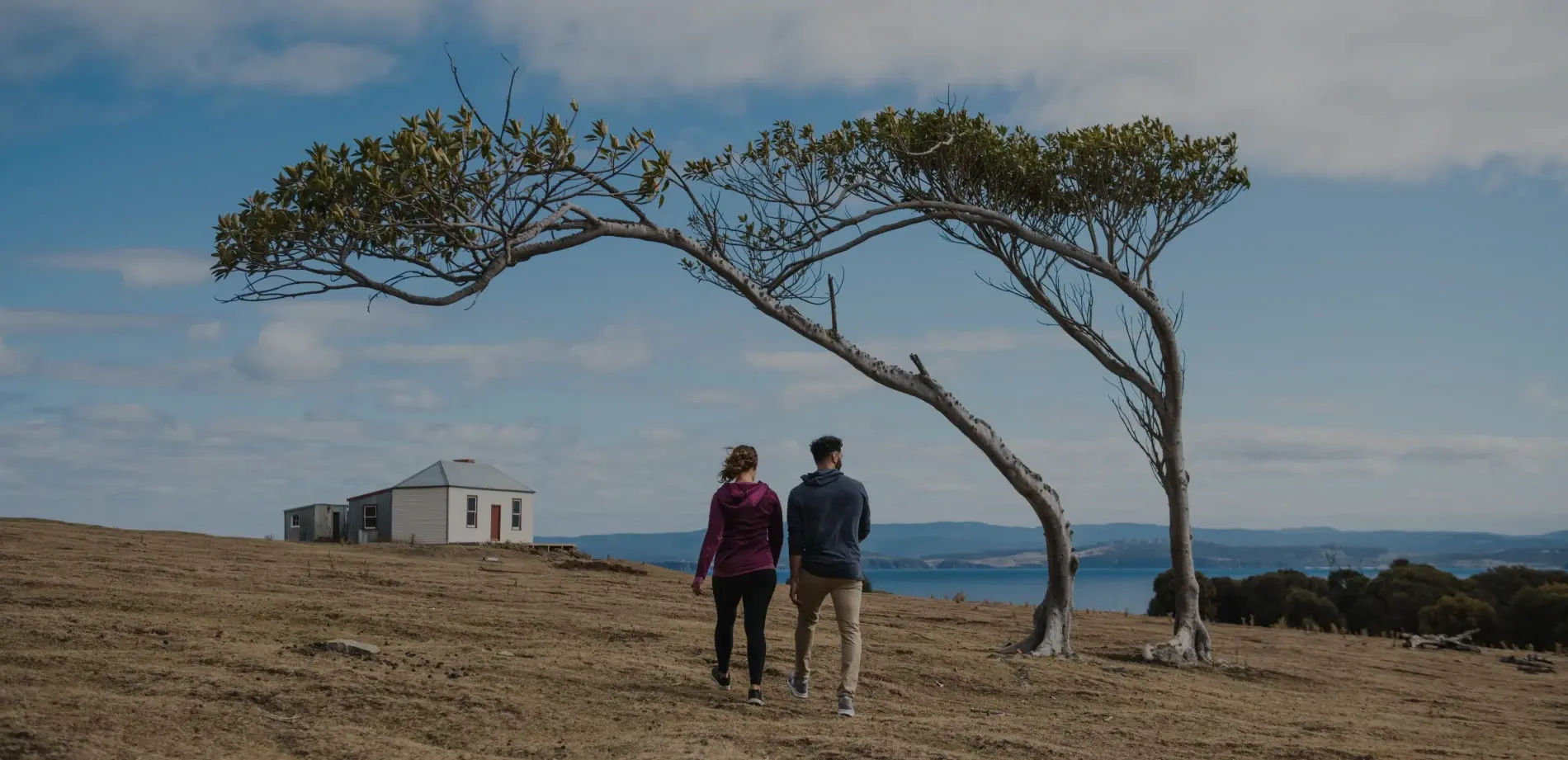 Things to Do in Tasmania: Five Ways to Reconnect with Nature