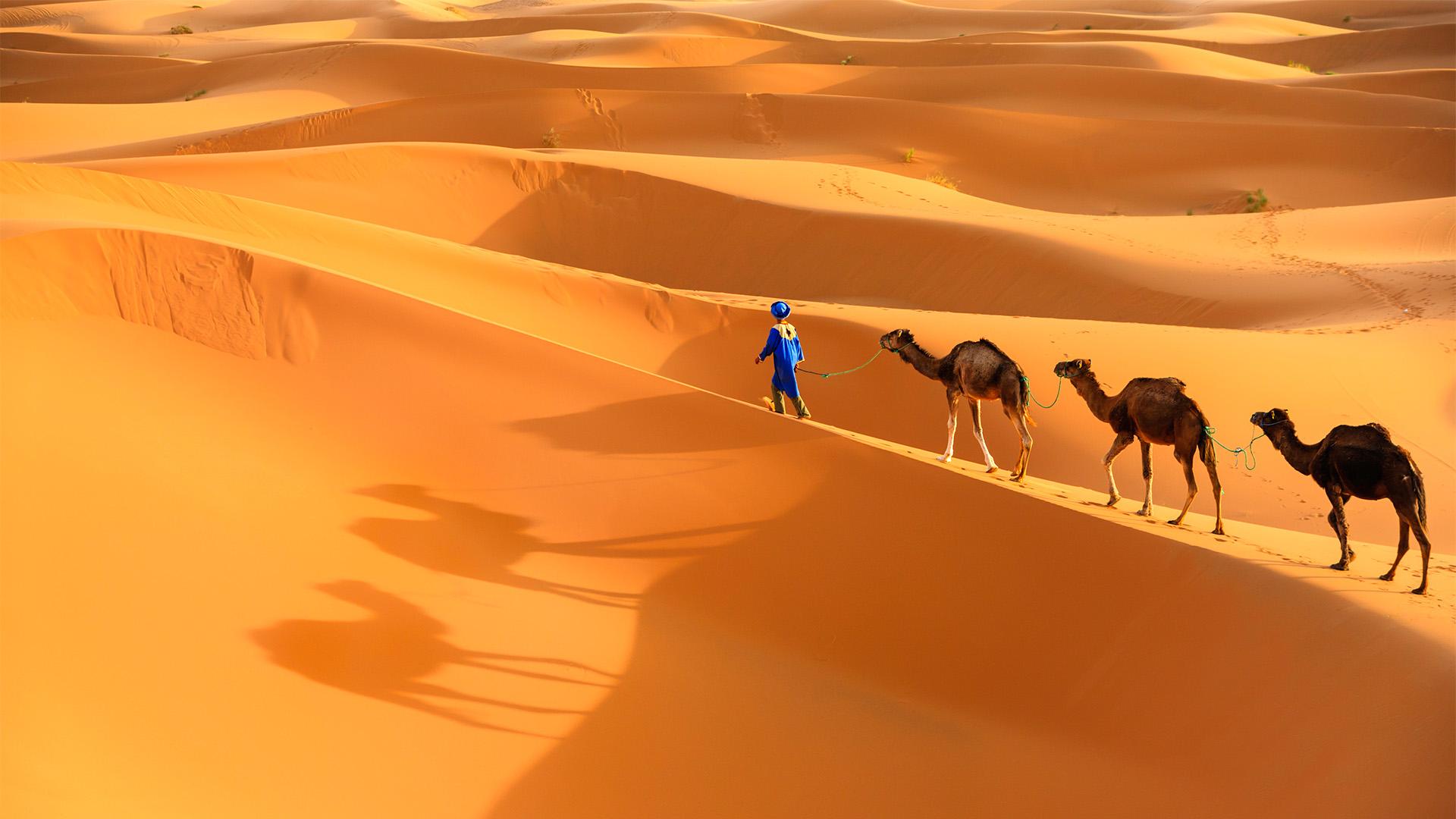 Sahara Desert