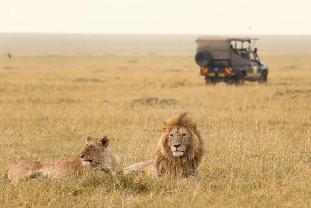 These Are Africa’s Best National Parks & Game Reserves