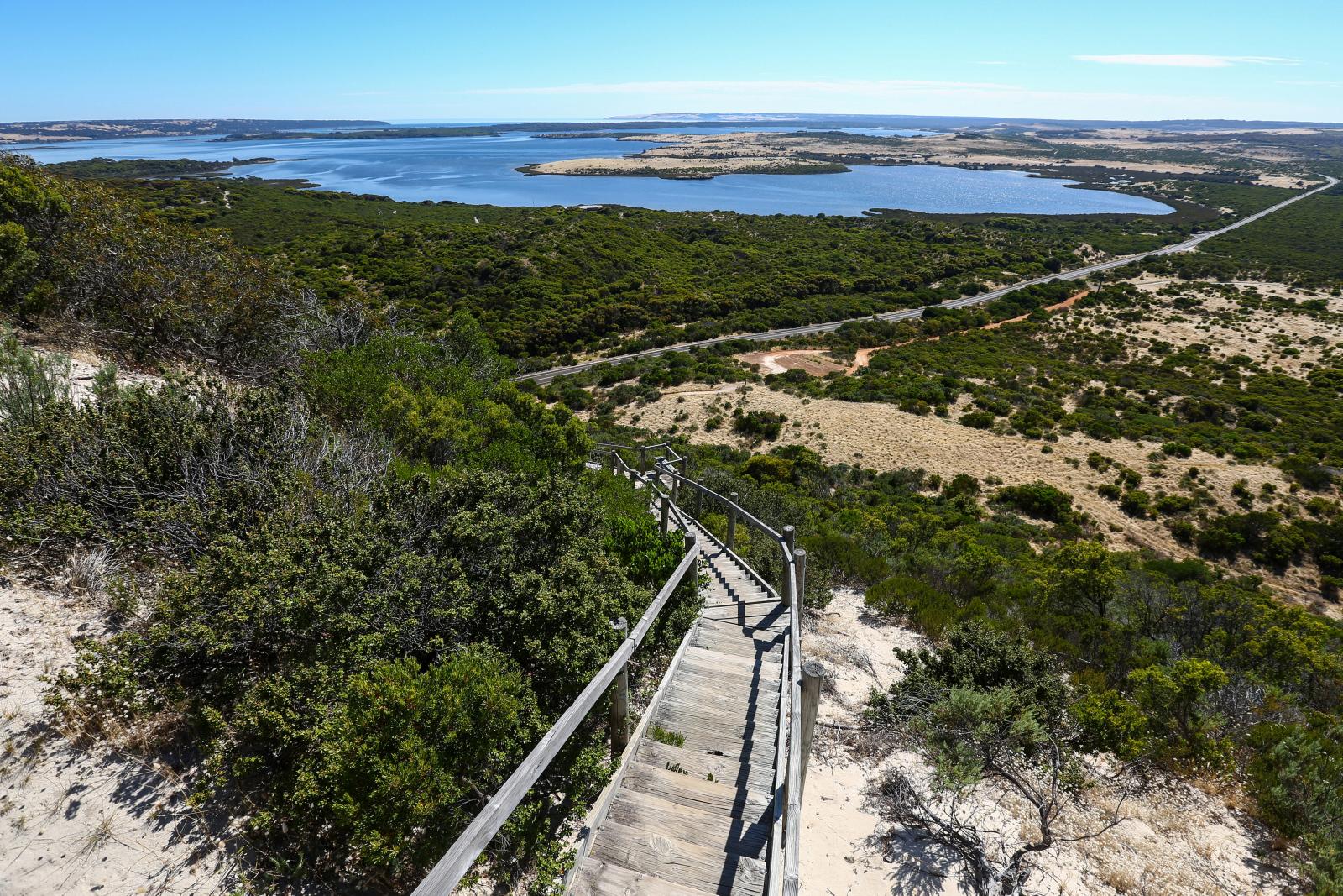 Prospect Hill Lookout