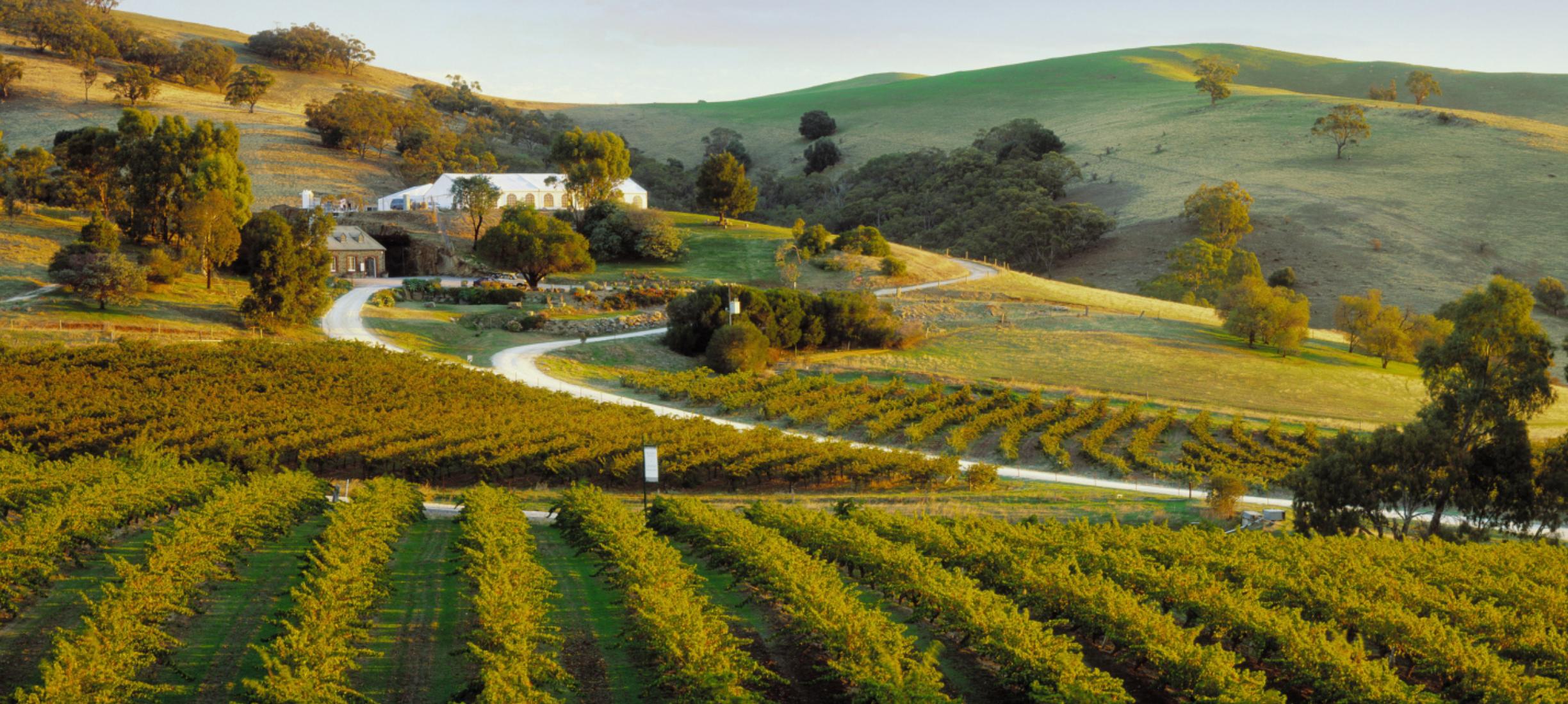 Luxury Escapes Guide to the Barossa Luxury Escapes GB