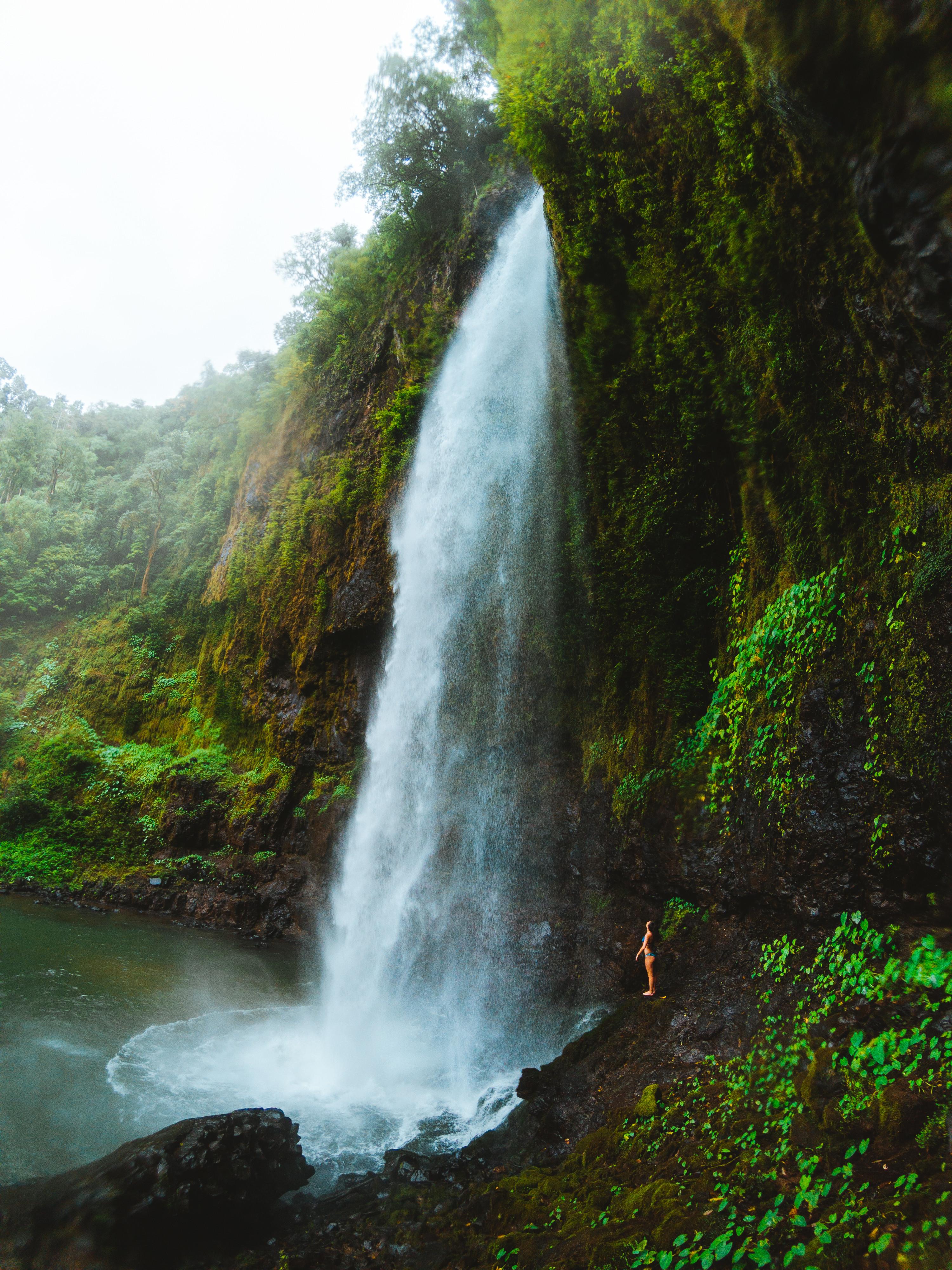 9 Waterfalls and Swimming Holes Worth Chasing near Cairns - Luxury ...