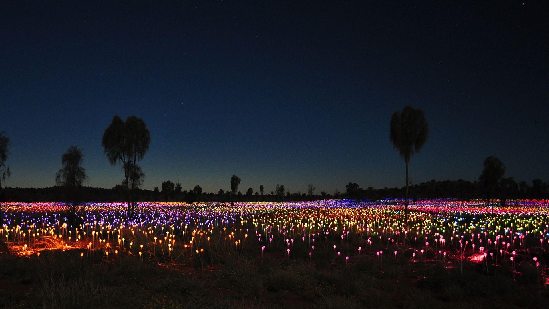 Field of Light installation at Uluru