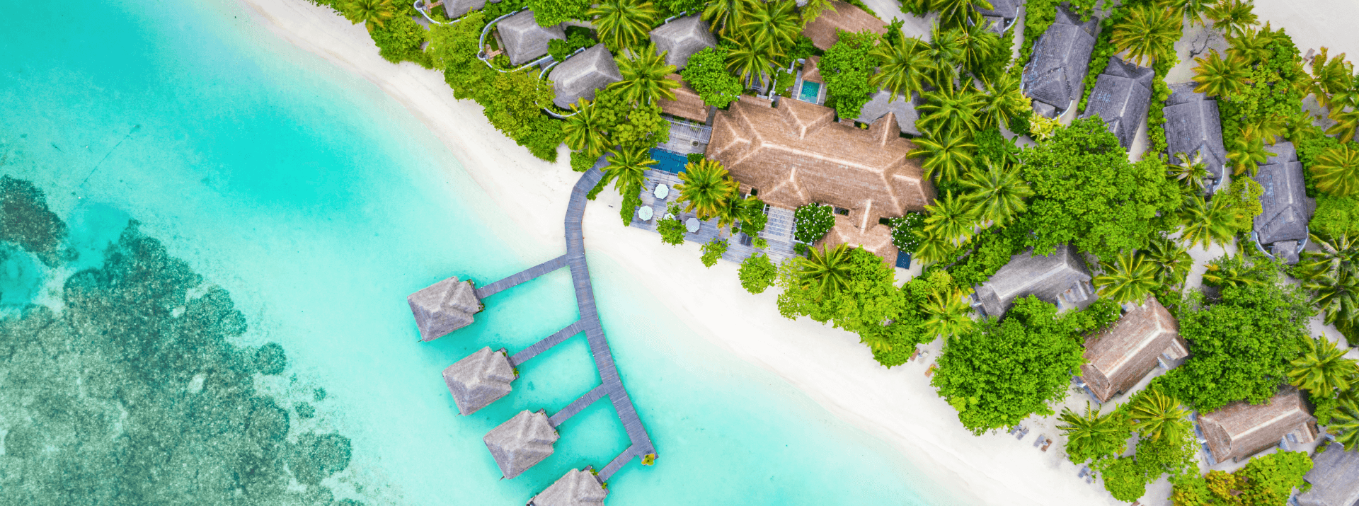 LUXURY HOTELS AND RESORTS visual data 4