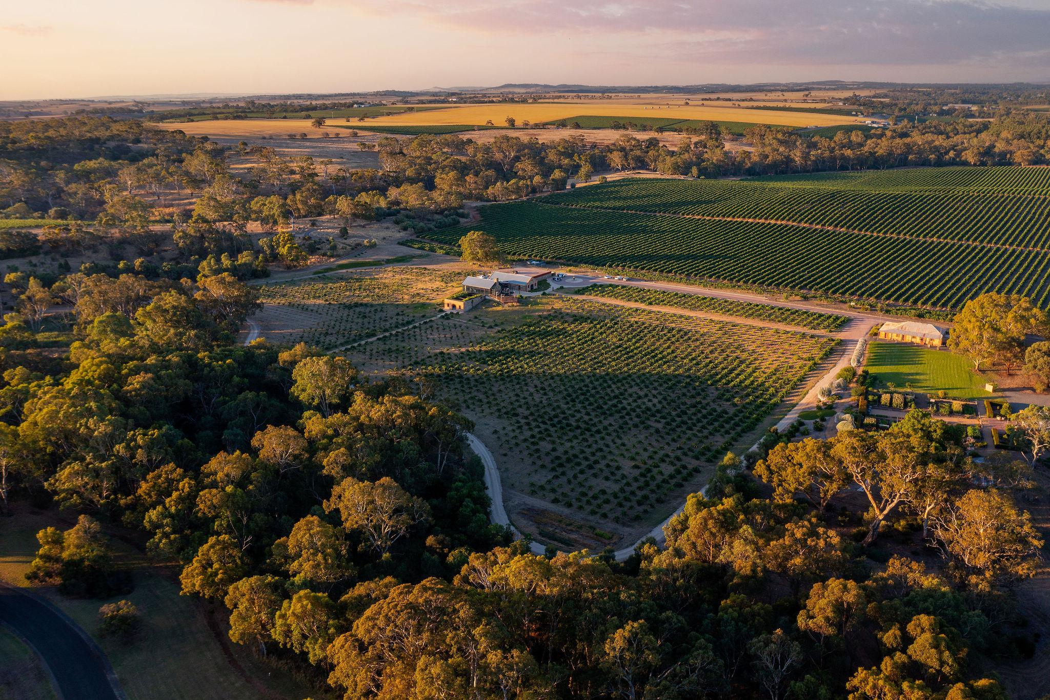 Australia's Ultimate Winery Experiences