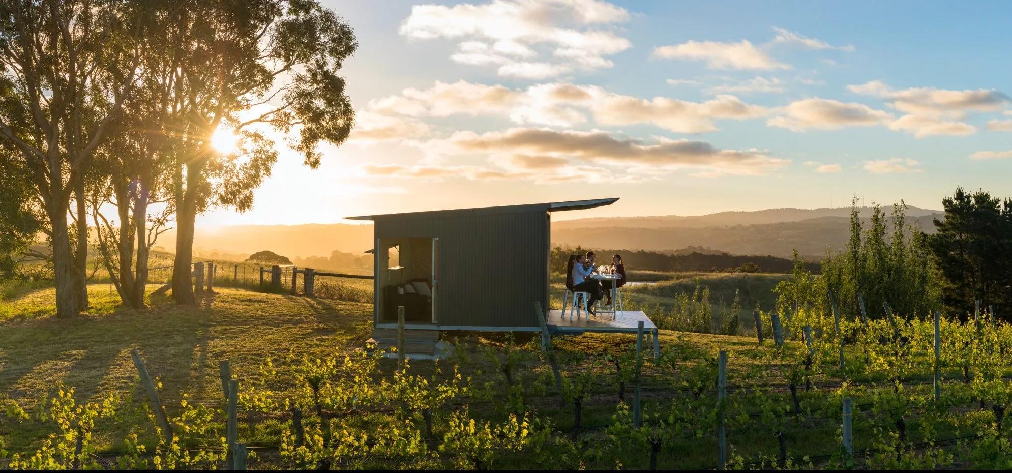 7 Experiences at South Australia Wineries for Those Who Want More Than Just Good Vino