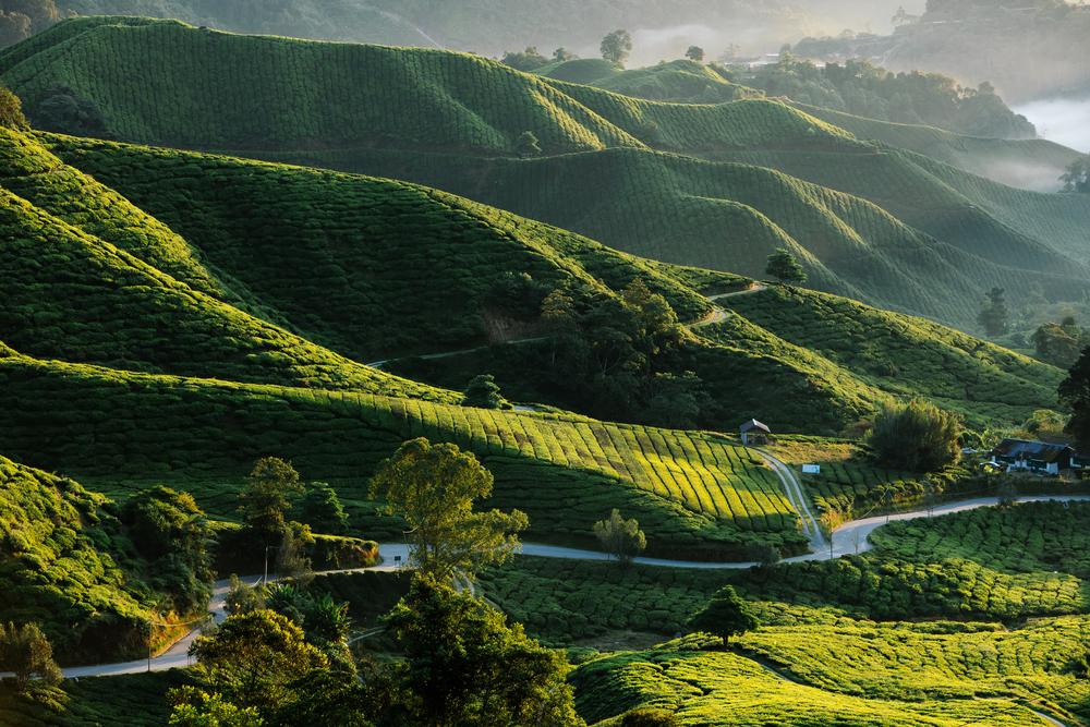 11 Must-Have Experiences in Malaysia  