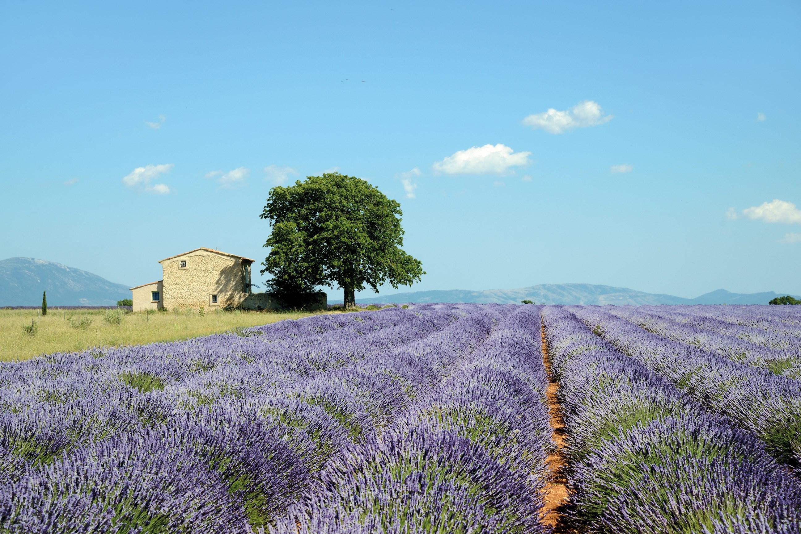 Country Roads of France Guided Tour