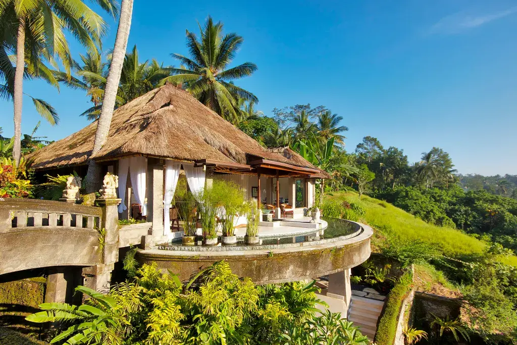 Bali Bliss: Find Your Zen at Ubud’s Best Wellness Retreats 