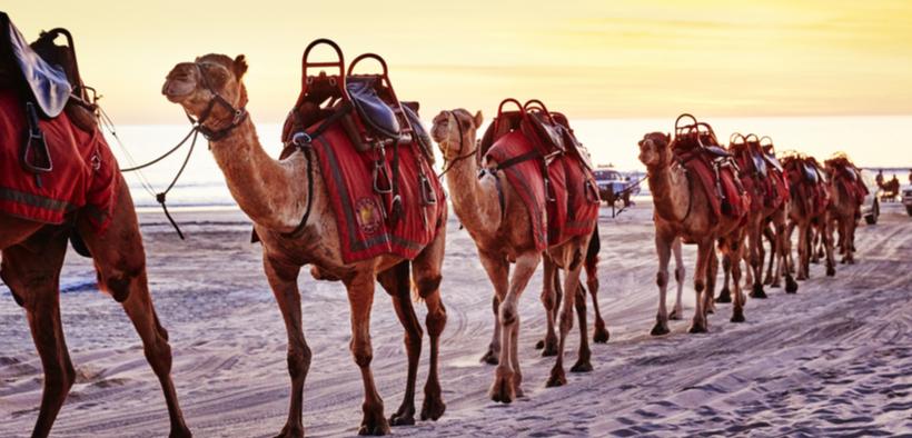 Cable Beach camel ride