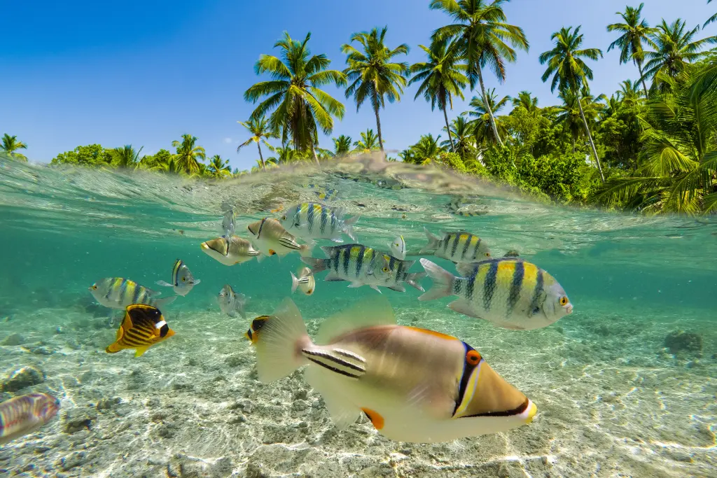 Fiji's Best Beach-Free Activities