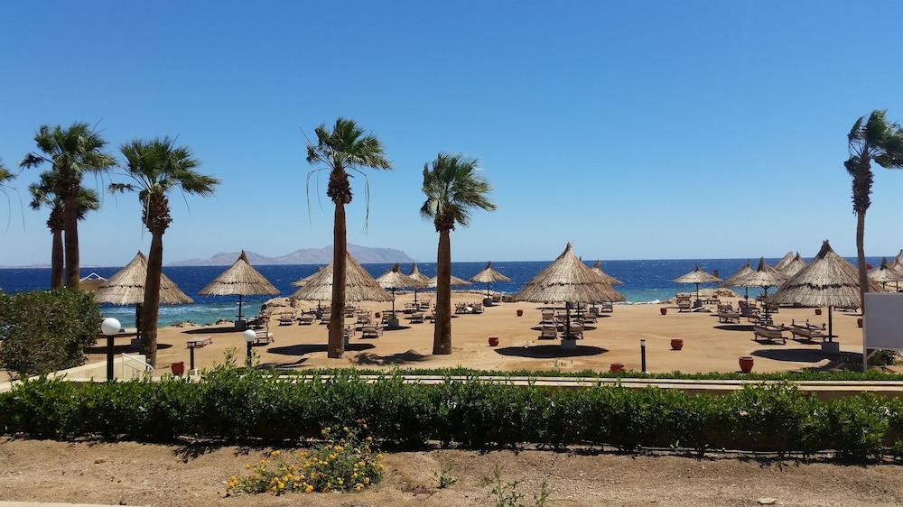 image 4 at Sheraton Sharm Hotel, Resort, Villas & Spa by Al Pasha Coast Sharm El Sheikh South Sinai Governorate Egypt