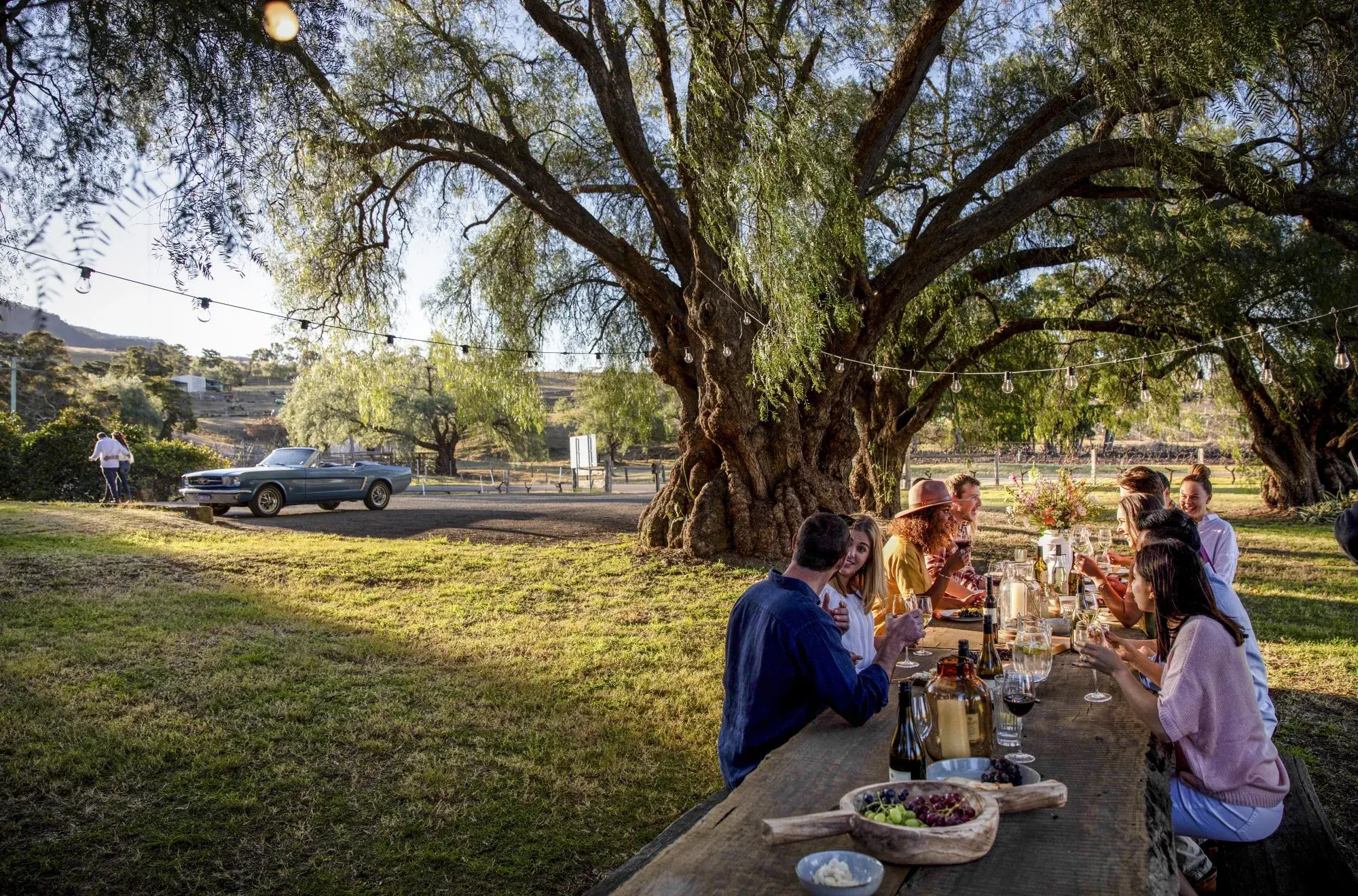 What to do in Hunter Valley: Full-Day Foodie Itinerary