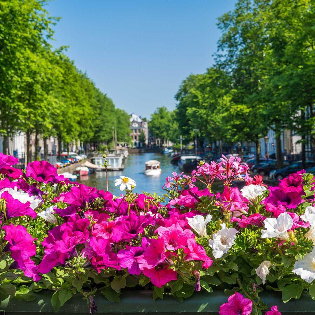 Amsterdam Explorer