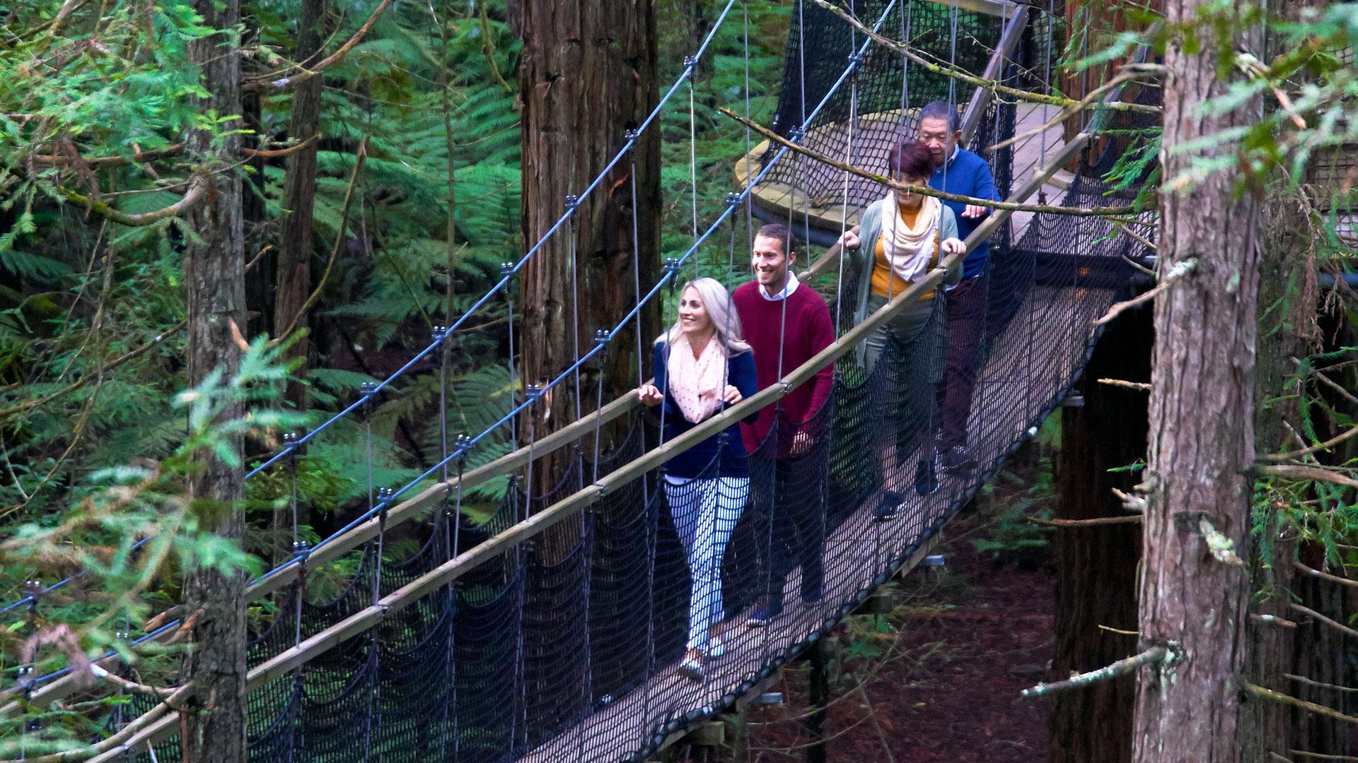 Redwoods Treetop Walk, Rotorua