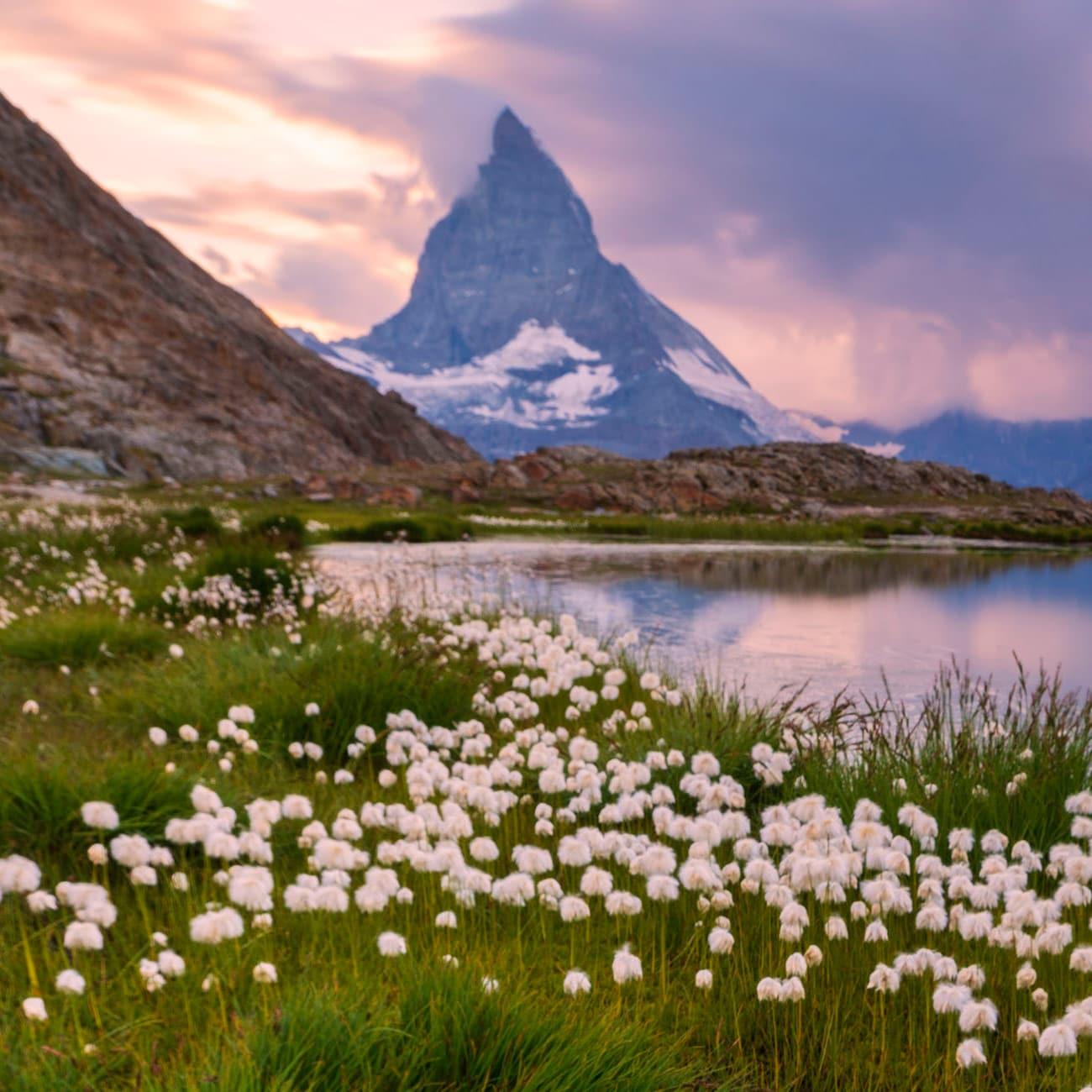 Switzerland and Austria