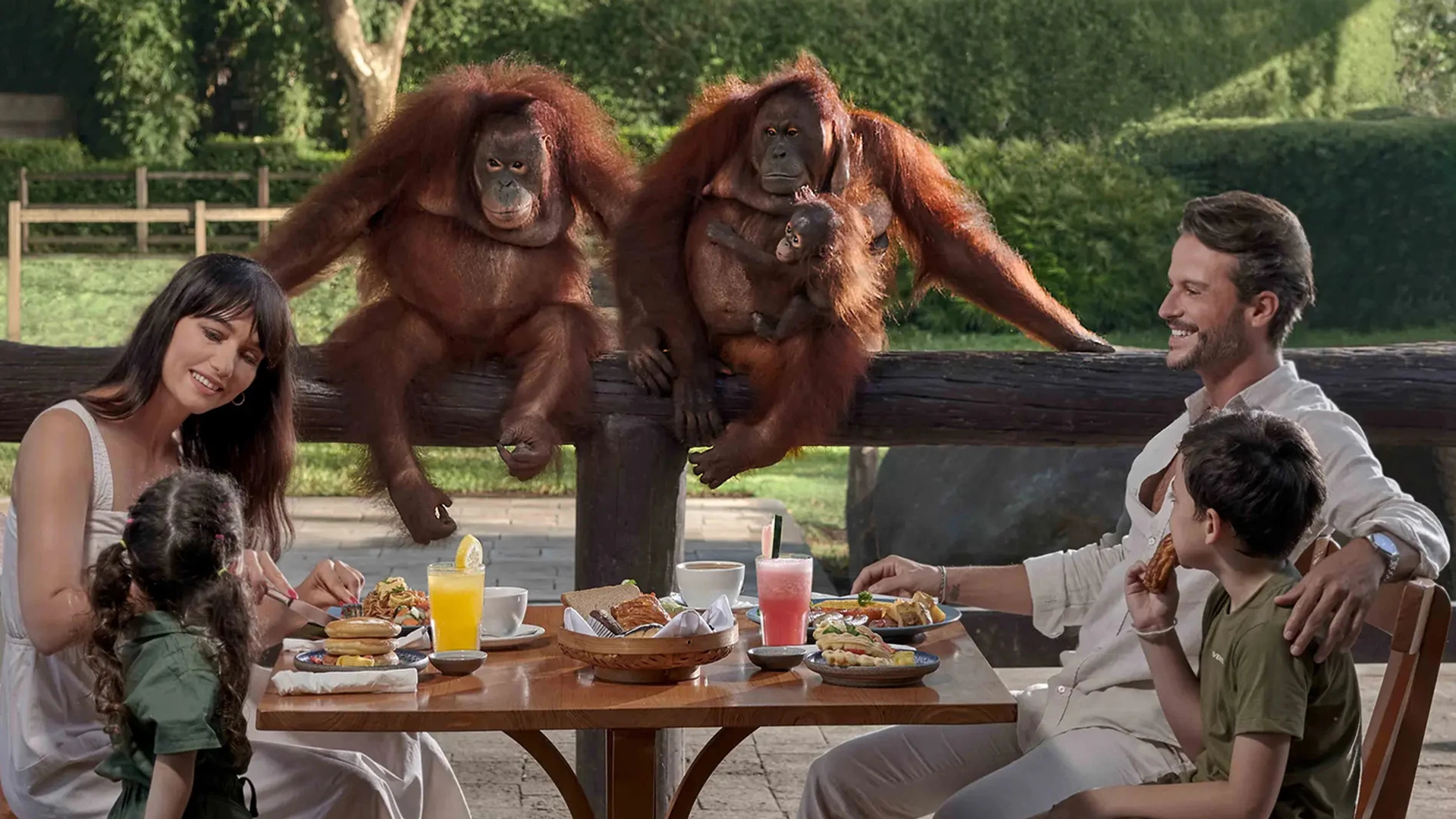 Sit Down to Breakfast with an Orangutan at Bali Zoo