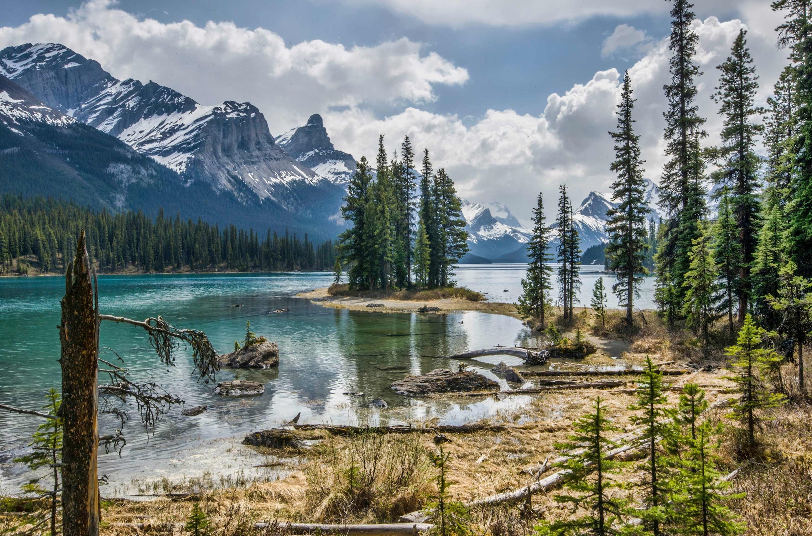 Panoramic Canadian Rockies Guided Tour