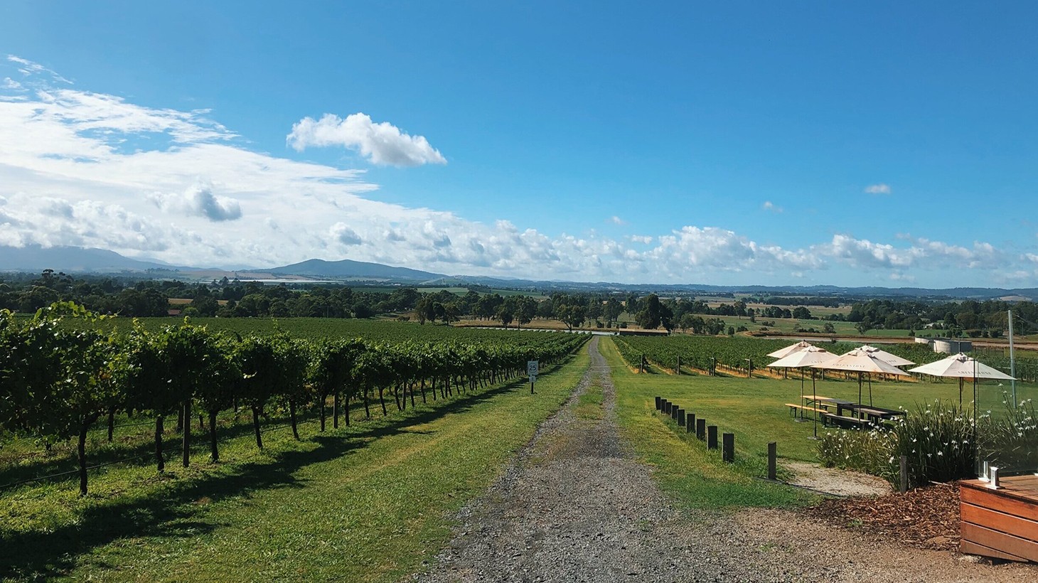 Yarra Glen Cellar Door Experience for Two or Four with Tasting