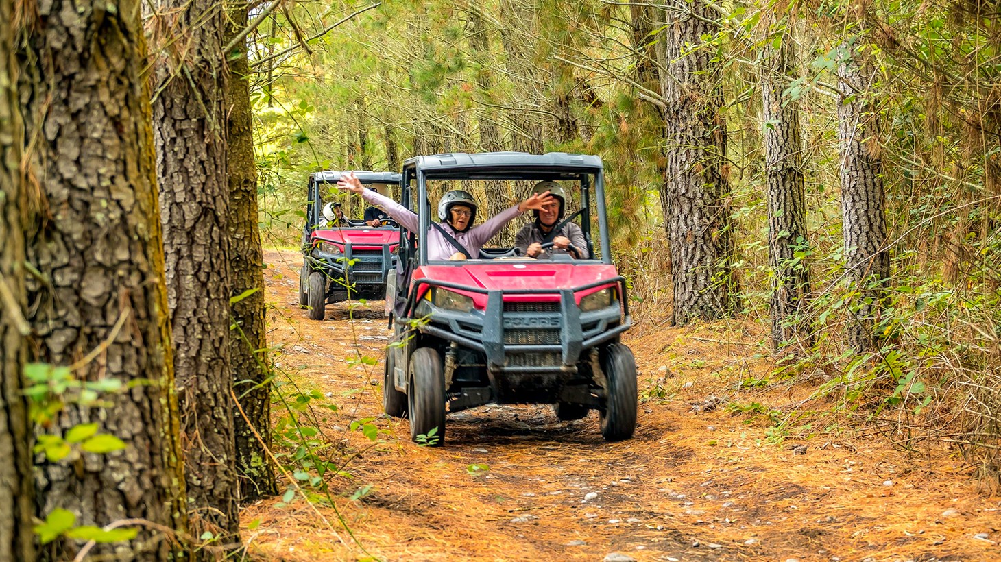 Hanmer Springs Off Road Buggy: 2-seat vehicle