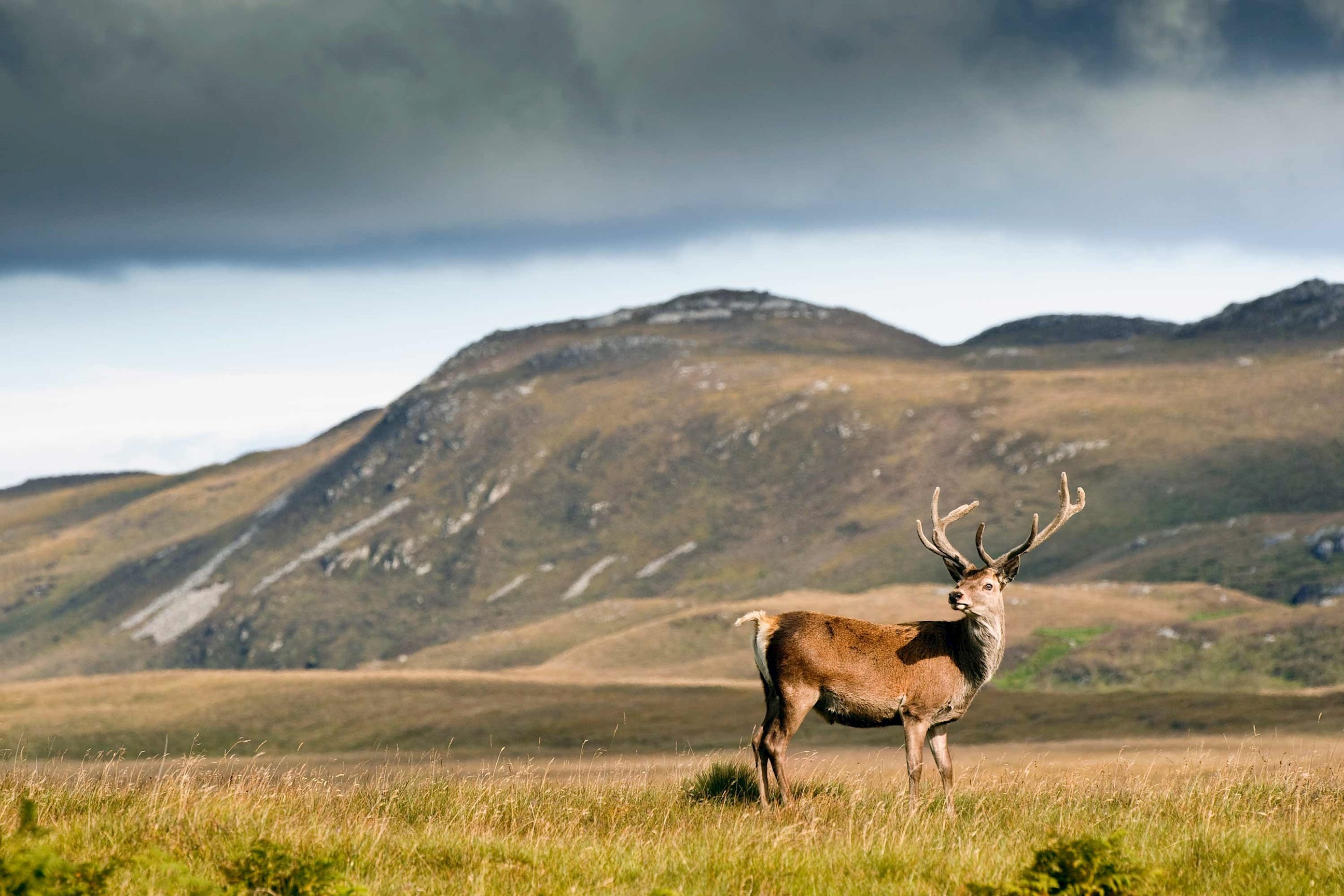 Highland Trail Inspired by Outlander Guided Tour