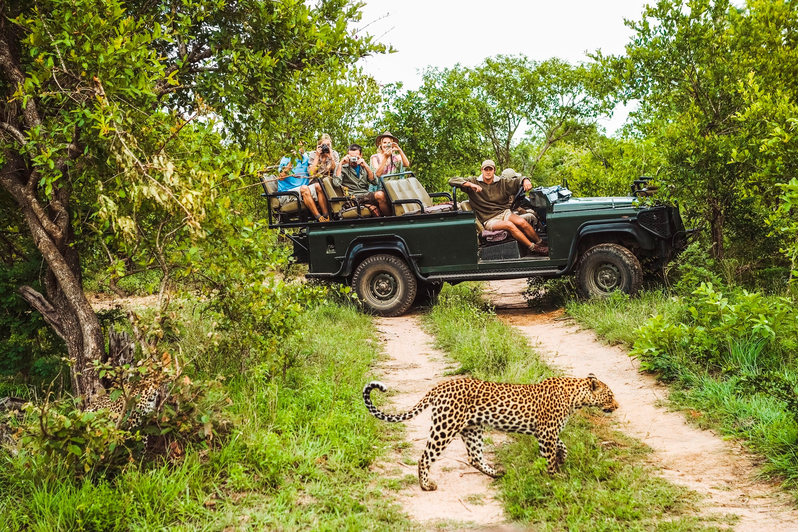 Kruger Safari with Eswatini and Zulu Trip