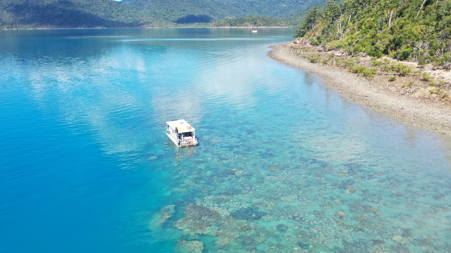 Airlie Beach 70Minute Glass Bottom Boat Tour in The Whitsundays