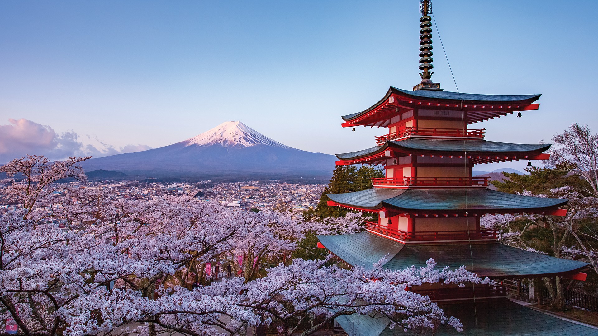 Opulent Journeys Luxe Escapades