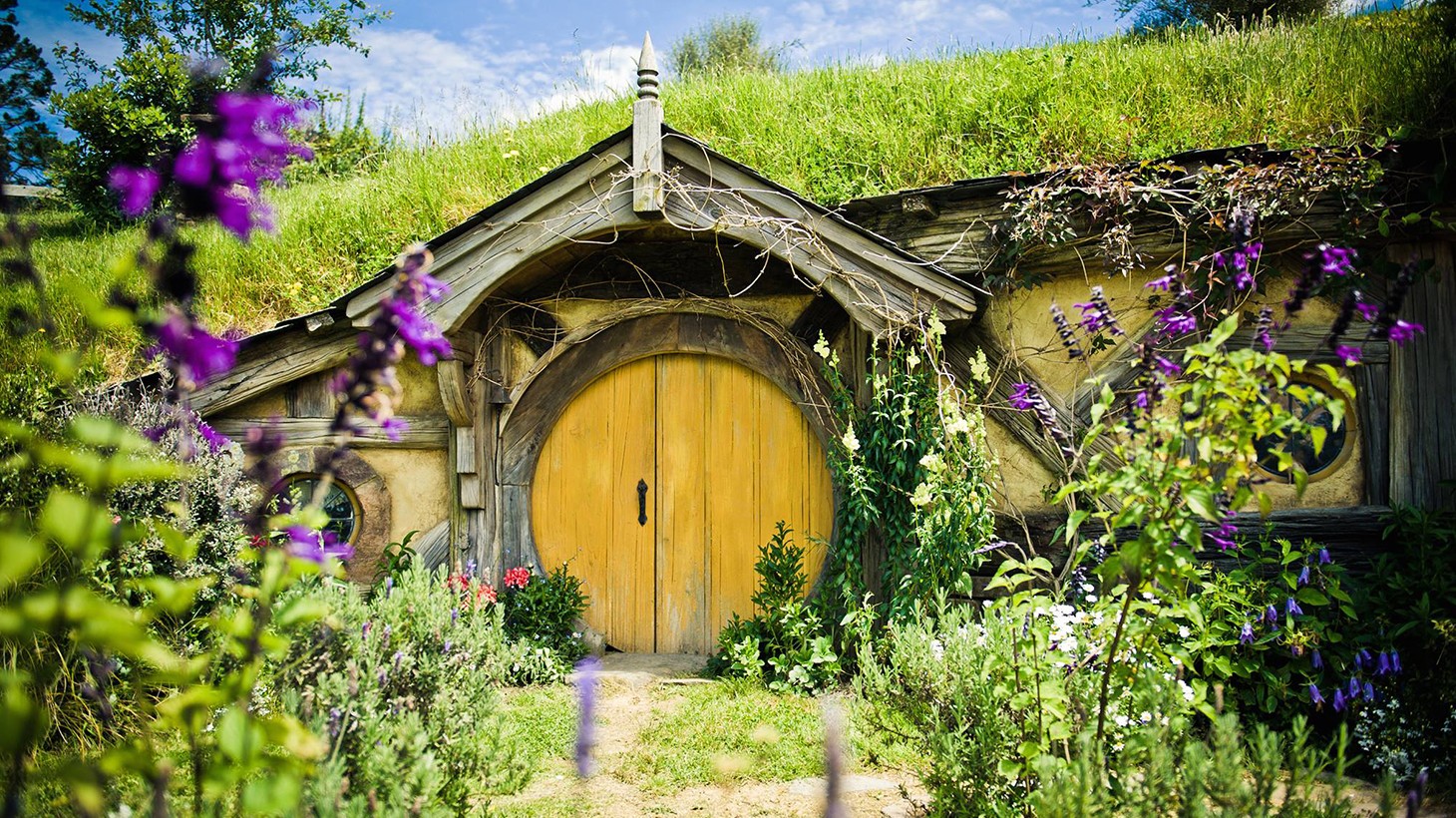 Promo code hot sale for hobbiton tours