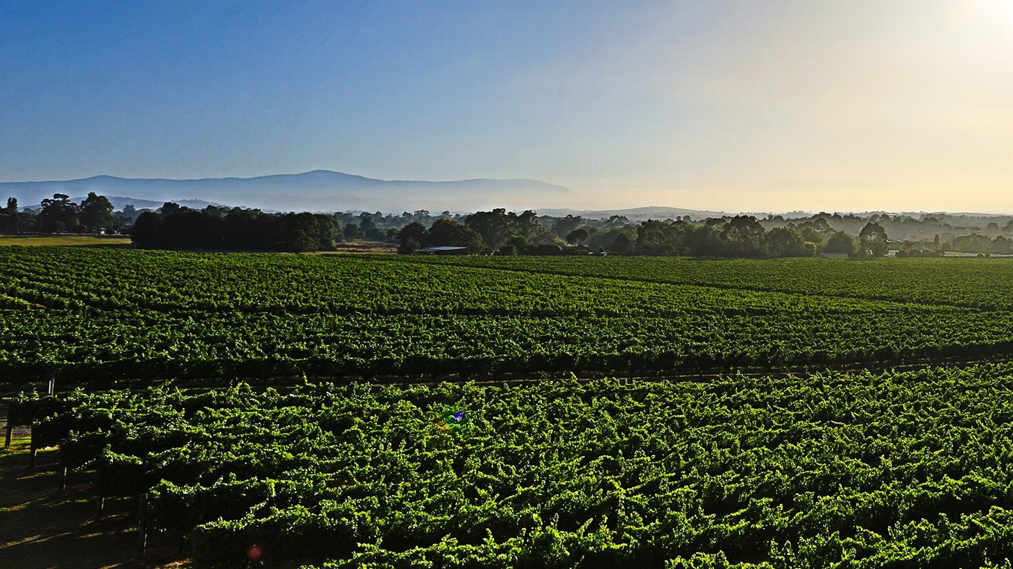 Yarra Glen Cellar Door Experience for Two or Four with Tasting Flight