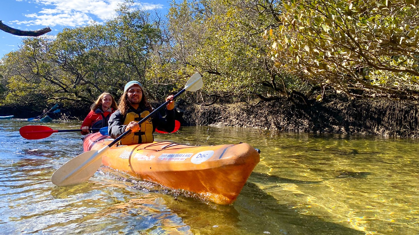 Adelaide 90Minute Guided Dolphin Sanctuary & Mangroves Kayaking Tour