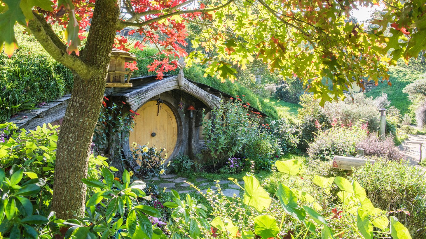 Promo code for hobbiton hot sale tours