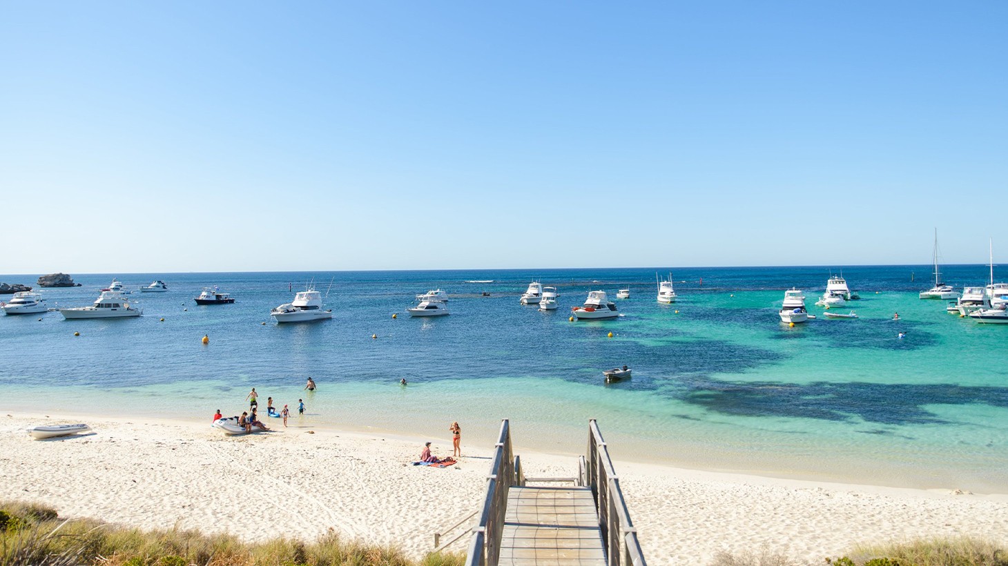 Rottnest Island: Visit Must-See Sights on an Island Afternoon ...