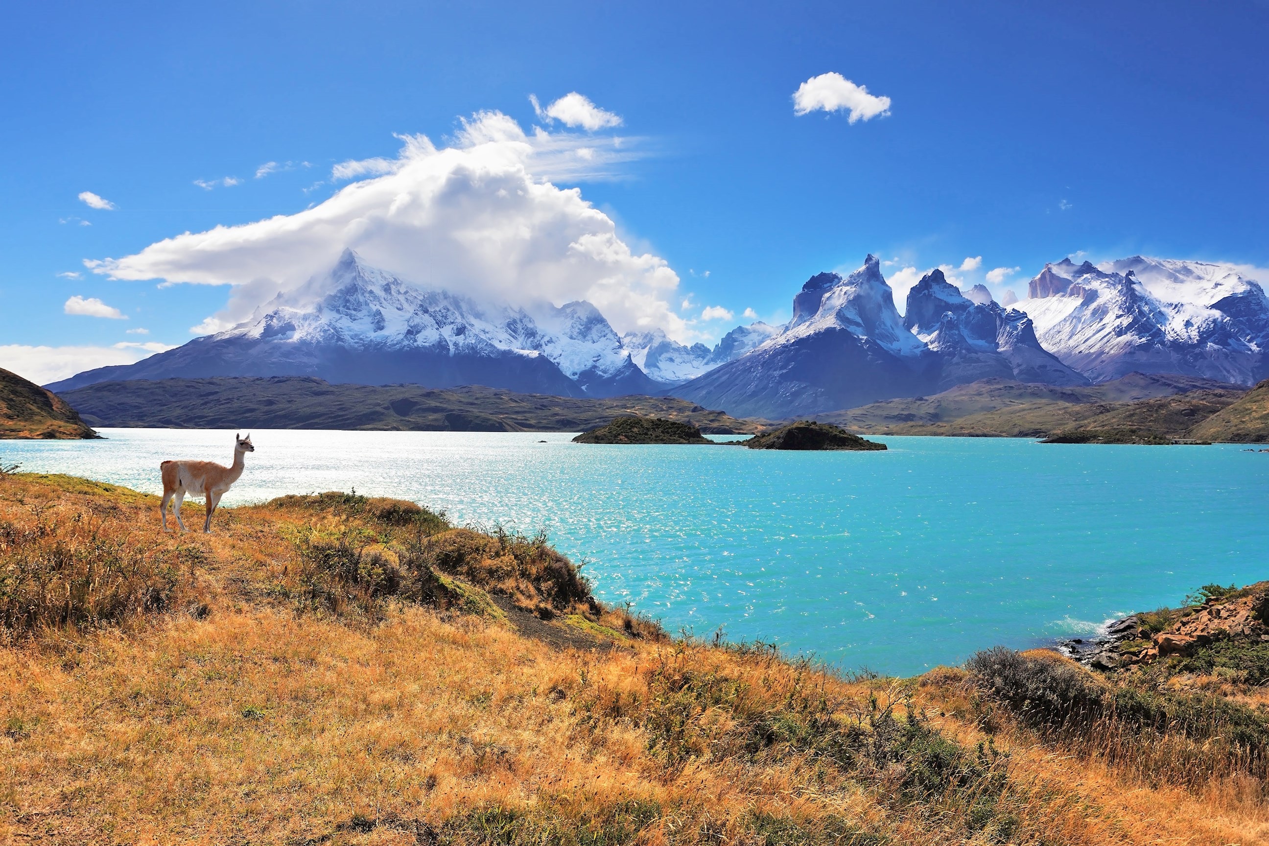 Wonders of Patagonia Guided Tour