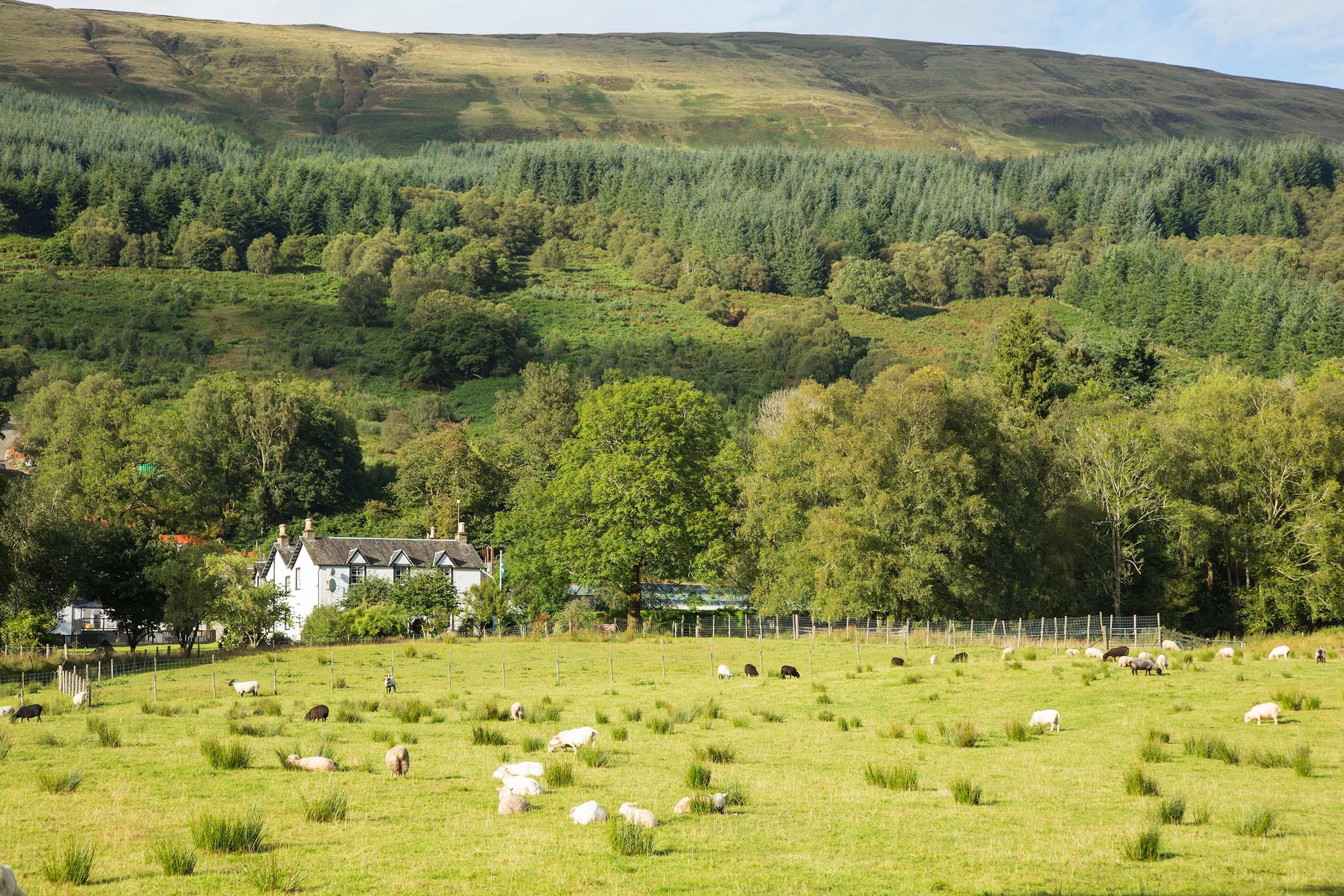 Best of Ireland and Scotland Guided Tour