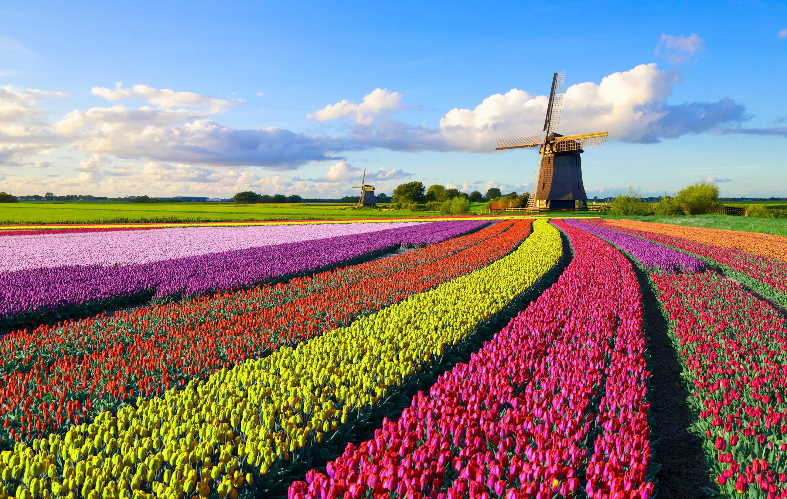 Best of Holland Guided Tour