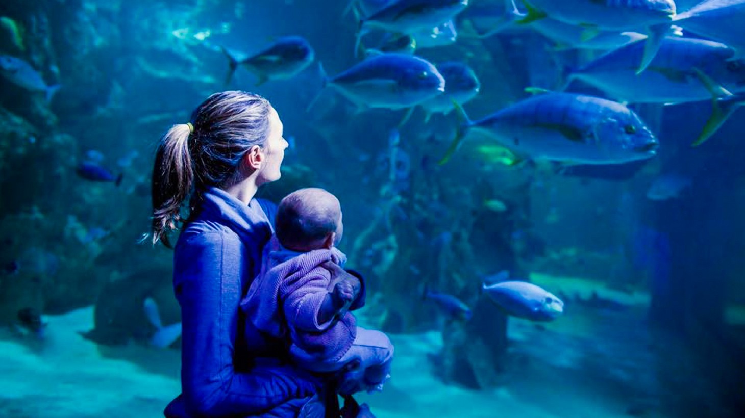 Melbourne SEA LIFE Melbourne Aquarium Entry Ticket with Digital Photo Pass