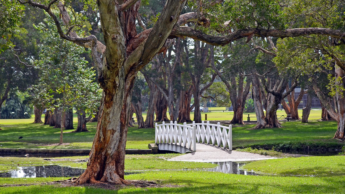 Mystery Picnic Date - Centennial Park