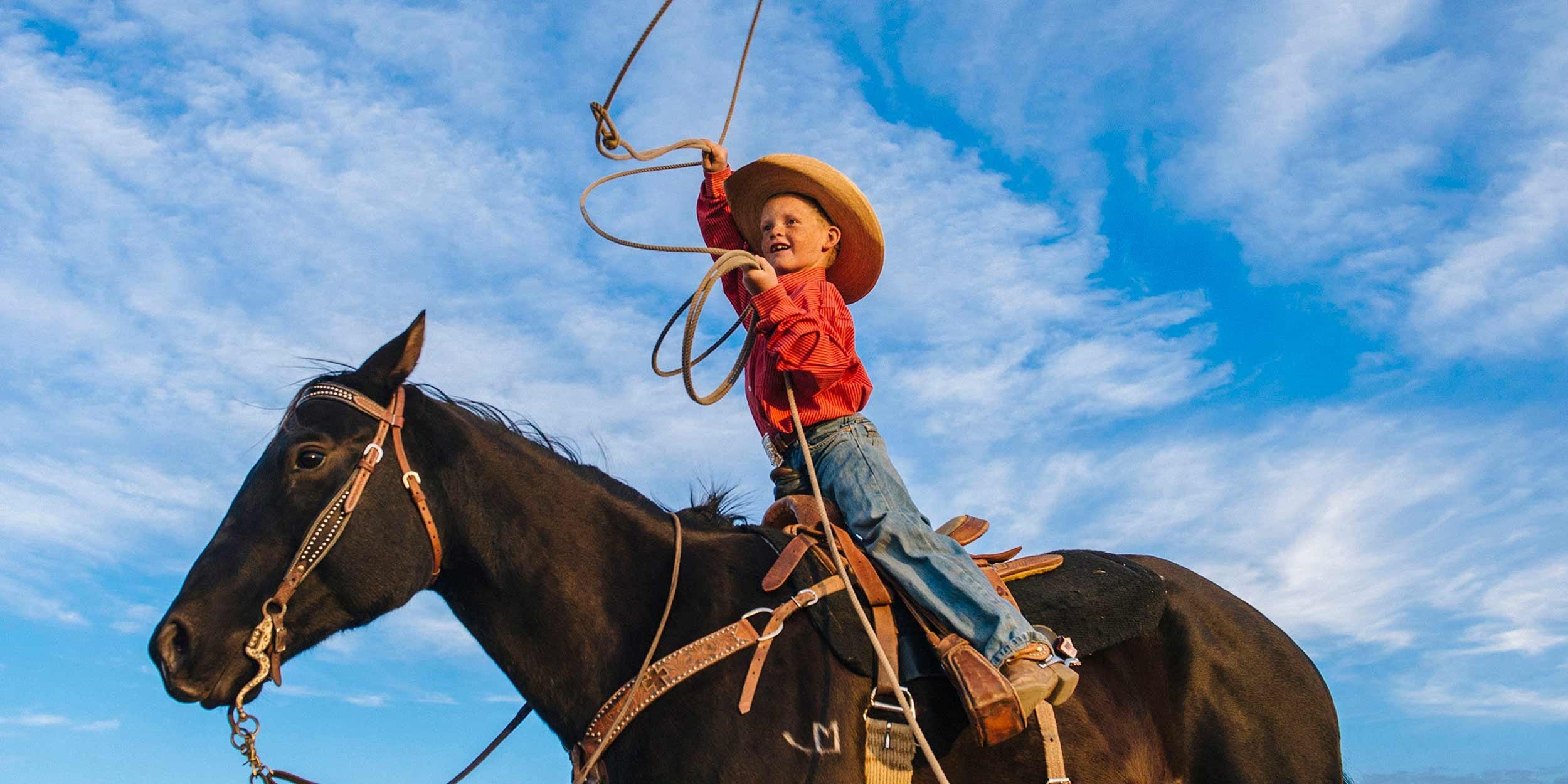 Wild West Cowboys and Buffalos end Denver Guided Tour