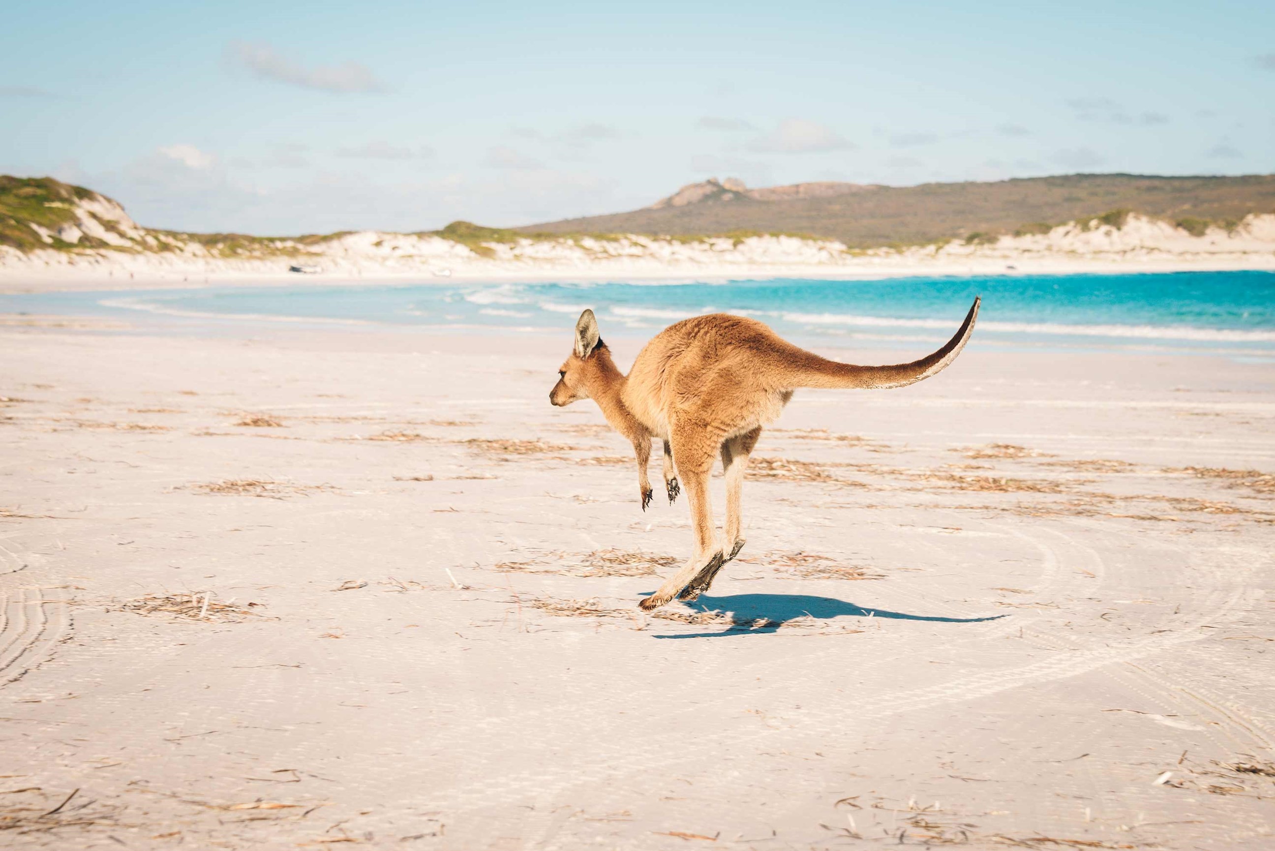 Australian Highlights Guided Tour