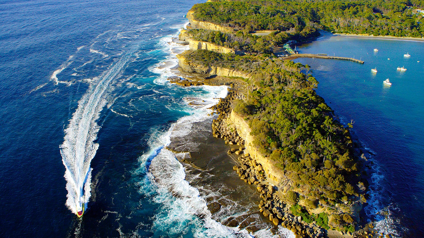 Hobart Full Day Tasman Island Scenic Cruise Port Arthur