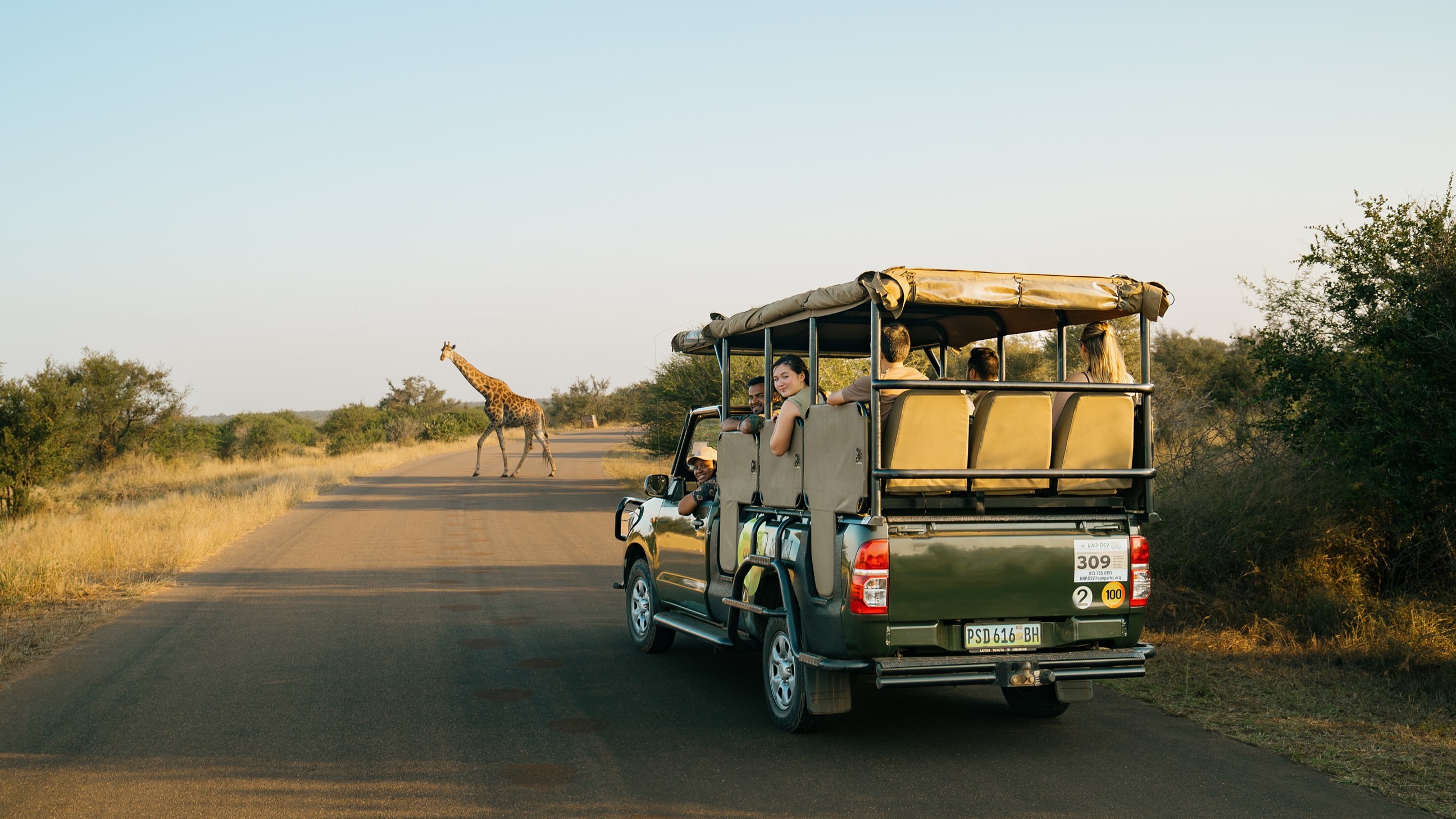 Southern Africa Safari Trip