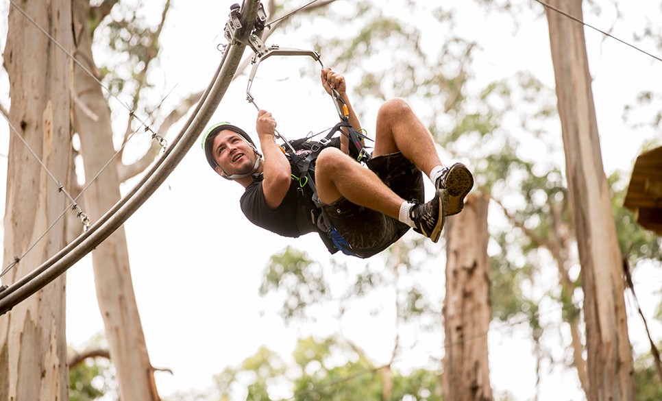 Lorne Fly Through the Treetops with the Most Extreme Shockwave