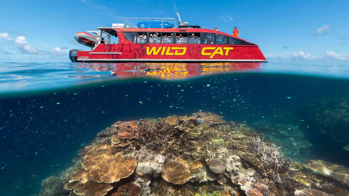 airlie beach catamaran day trip