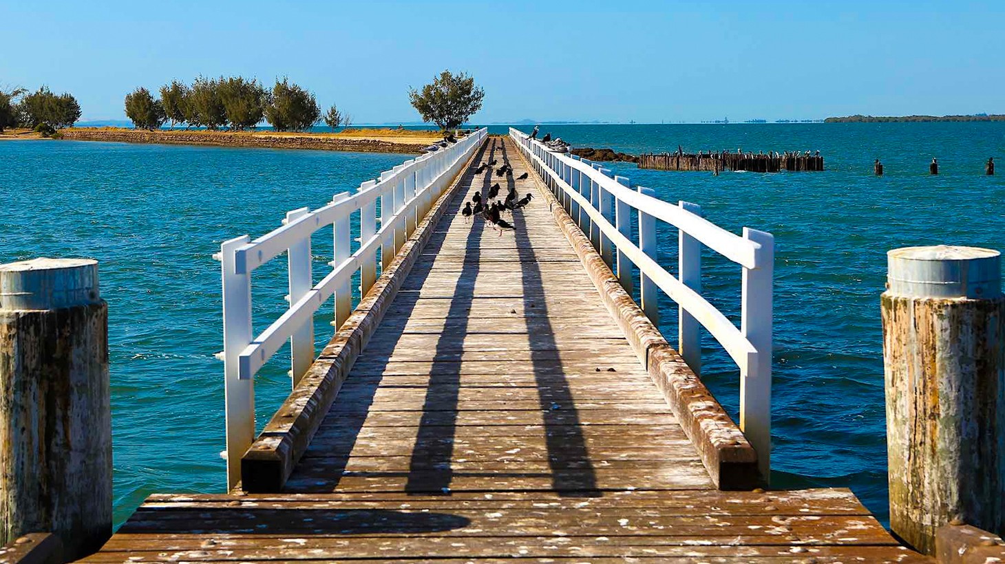 Brisbane St Helena Island Prison Experience Cruise with a Picnic Lunch