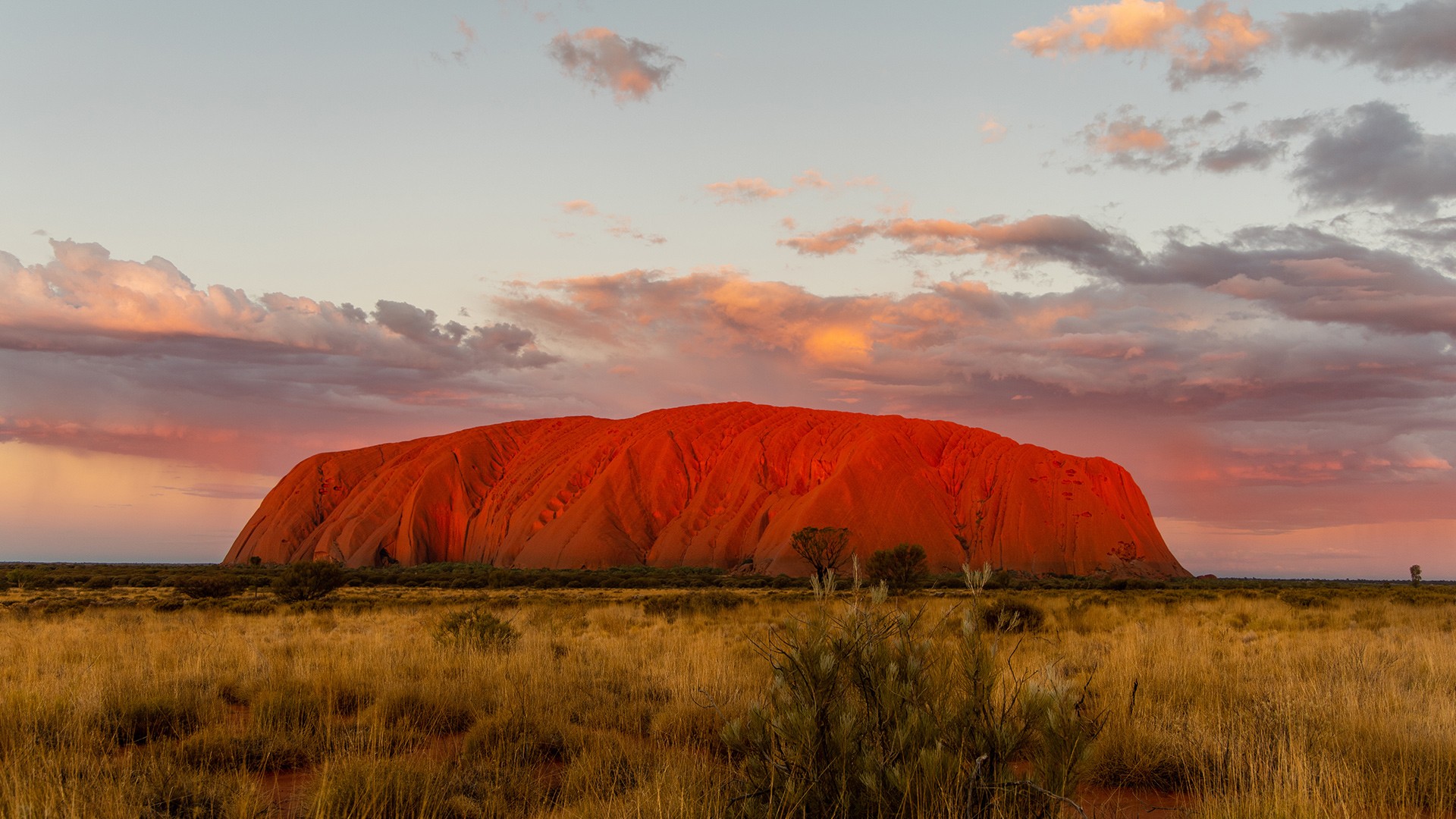Uluru at sunset. Image credit: Tourism NT/Bronte Stephens