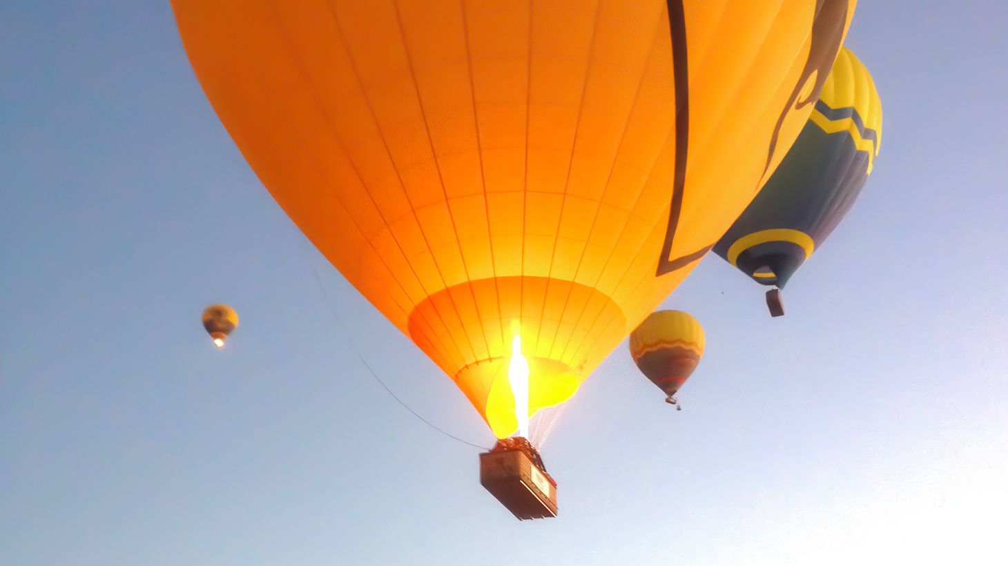 Six-Hour Gold Coast Ballooning Adventure with Glass of Sparkling Wine & Return Transfers 7